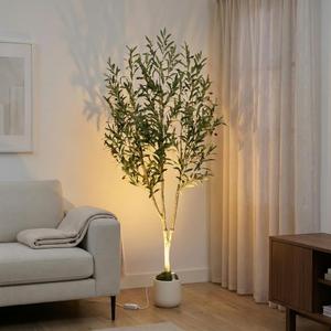6ft Lifelike Artificial Olive Tree with Light, White Pot, Moss & LED