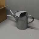 SunnyTong Metal Watering Can for Outdoor and Indoor Plants, Watering Can Decor, 1 Gallon (Zinc Stainless Steel Handle)