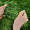 Artificial Green Moss for Christmas Potted Plants 5.3OZ for Crafts Preserved Fake Moss for DIY Decorative Table Centerpieces Fairy Garden Decor