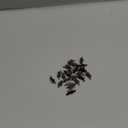 Slide Switch Panel Mount 3 Solder Lug Pin ON/Off 2 Position 50Pcs