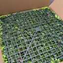 Yangrass Artificial Grass Wall Panels with Mint Leaves,6pcs 20"x20"(17sqft)
