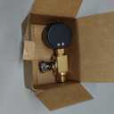 VIKKSAER 98209800 Brass Air Relief Valve with Pool Filter Pressure Gauge, Replacement for Pentair Clean and Clear Quad DE 4000 and FNS Series Filters, Replaces 98209800
