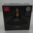 GLOBE Electric 65712 Robin 1-Light Plug-in or Hardwire Pendant, Satin Black, Antique Brass Accents, 15ft Black Woven Fabric Cord, in-Line On/Off Rocker Switch