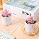Der Rose Set of 2 Succulents Plants Artificial Mini Fake Succulents Plants for Office Desk Accessories for Women Pink Home Vanity Decor