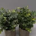 2 Pack Small Fake Plants Eucalyptus Potted Artificial Plants for Shelf Desk Home Bathroom Farmhouse Room Coffee Table Decor (Sage Green)
