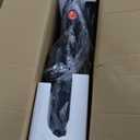 Exercise Bike, Magnetic Resistance Stationary Bikes for Home with App Compatible, Silent Indoor Cycling Bike with 350lbs Weight Capacity Comfortable Seat, Digital Monitor & Phone Mount