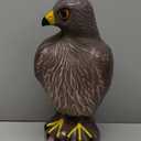 Bird B Gone Plastic Hawk Decoy to Scare Birds Away, Bird Deterrent Devices Outdoor, 16 Inch Fake Hawk Statue, Natural Bird Scarecrow for Garden (1Pack)