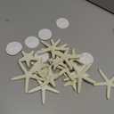 Jetec 24 Pcs Starfish Assorted Decor 3.14 Inch Starfish for Crafts Star Fish Shells Decorations Sand Dollar Ornament White Resin Star Fish Decorations for Wedding Beach Party Decor DIY Craft Supplies