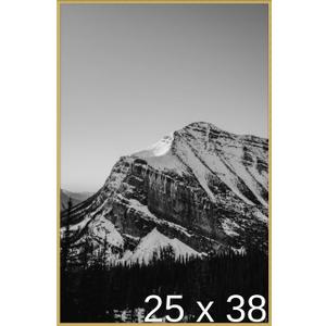 Frame It Easy 25 x 38 Gloss Gold Metal Frame (Ashford)