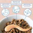 INABA Churu Meal Topper for Dogs, Complete & Balanced, Creamy, Lickable Pure Dog Food Toppers, 1.69 Ounce Tube, 18 Tubes (3 per Pack), Tuna with Beef Recipe