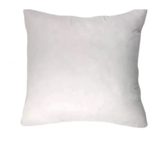 Pillow Insert 20x20