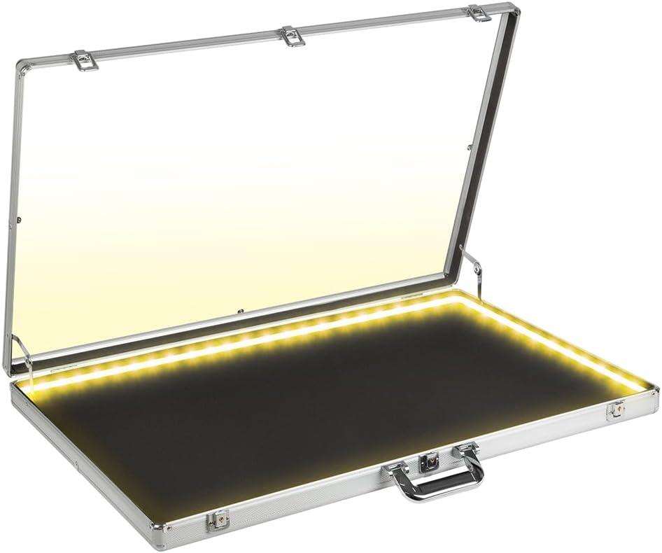 DuvinDD Card Display Case with LED Light for Trading Card, 34 x 22 inch Aluminum Large Portable Card Show Display Case, Lockable Trade Show Display Cases for Pokemon Cards, Coin, Collectibles, Silver