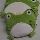 Lazada 2PC Frogs Kids Pillow Toys Plush Pillows Soft Gifts for Toddler Green (15+10Inches)