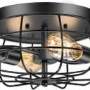 2-Light Farmhouse Ceiling Light Fixtures, Industrial Hallway Light, Vintage Black Metal Cage Ceiling Lamp for Living Room, Kitchen, Bedroom