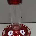 More Birds Bird Health+ Ruby Hummingbird Feeder, Glass Hummingbird Feeders for Outdoors, 4 Feeding Stations, 10 Ounces, Ruby Red