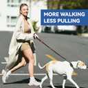 Martingale Dog Collars Adjustable Training Martingale Collar for Dogs - Reflective No Pull Dog Collar with Quick Release Buckle (Army Green, Large) (Medium)