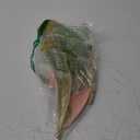 Large Gold Fairy Wings for Adults Dress Up Sparkling Sheer Wings Butterfly Fairy Halloween Costume Angel Wings for Women