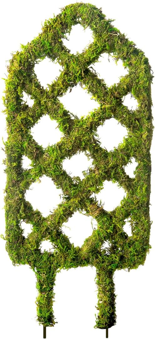 SuperMoss Plant Trellis - Decorative Garden Trellis for Climbing Plants Indoor & Outdoor | Moss-Covered Plant Support for Raised Garden Bed, Patio, Planters, and Garden Decor, Mini 17" X 6.5", Diamond