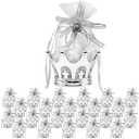JC HUMMINGBIRD JCHB 24 Pieces Fillable Silver Crown with Flower Pouch Party Favors