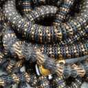 Garden Hose 100ft, 2026 Ultra Lightweight Water Hoses w/10 Function Spray Nozzle and 3/4" Brass Fittings- Durable, & Flexible Water Pipe for Yard, Lawn, Outdoor & Gardening(Black Rose gold)