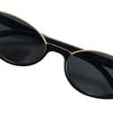 FEISEDY Fashion Small Cat Eye Sunglasses for Women Retro Trendy Cool Sun Glasses B2864 (Black)