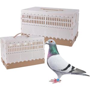 Plastic Foldable Pigeon Cage with Handle, M, Three Doors