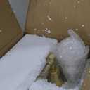 Elegant Designs LD1060-GLD-LB 19" Industrial Mesh Wire Desk Lamp with LED Bulb, Gold