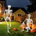 Halloween Skeleton, Realistic Life Size Skeleton with Movable Joints for Halloween Party Haunted House Indoor Outdoor Decoration (5.4ft-2P)