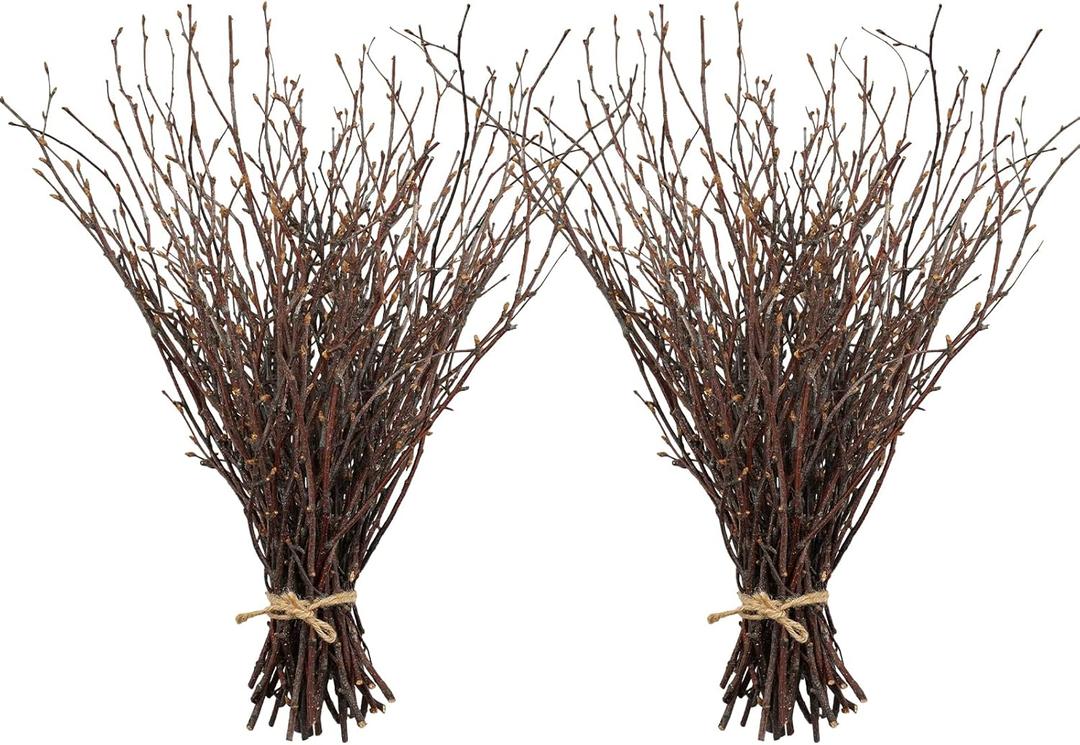 Uieke 100PCS Natural Dried Birch Twigs - 17 Inch Dried Plants Decorative Branches for DIY Crafts, Sticks for Vases Wedding Arrangements Home Wreath Decor (Birch-2 Bundle)