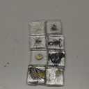 Macarrie 8 Pcs Insects in Resin Specimen Bug Collection Paperweights Bug Toys Preserved in Resin Specimen Bug Kit Specimen Sea Life Insect Toys Real Bug Specimen Bug Educational Toy, 8 Styles