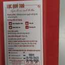 BACH TRA Premium Green Tea Buds Loose Leaf 10 Vacuum Seal Bags | Fresh, Fragrant & Rich Flavor | Handpicked & Naturally Fresh | No Sugar Added | ISO HACCP Certified, Best By 10/06/2026 