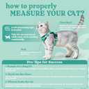 rabbitgoo Cat Harness and Leash for Walking, Escape Proof Soft Adjustable Vest Harnesses for Cats, Easy Control Breathable Reflective Strips Jacket, Emerald, Small