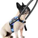 Blind Dog Harness, Guiding Halo with Protective Vest - Adjustable Support Harness to Calm & Guide Blind Pets, Confidence Building Leash Attachment for Safe Walking and Training (S)