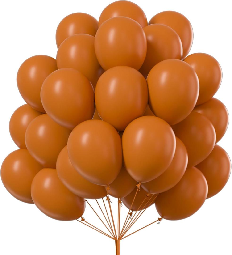 PartyWoo Burnt Orange Balloons 100 pcs 10 Inch Terracotta Rust Fall Color Latex Helium Balloons for Graduation Thanksgiving Halloween Baby Shower Birthday Party Decorations Orange-F53