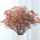 Babys Breath Dried Flowers Bouquet-17'' 2500+ Ivory Dry Flowers, Natural Gypsophila Branches for Wedding, Home Table Vase Decor, DIY Wreath Floral, Fall Thanksgiving Autumn Decoration (Brown, 3oz)