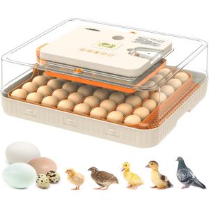 Egg Incubator 56 Eggs Incubators for Hatching Eggs with Auto Egg Turner for Chicken Duck Goose Eggs
