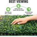 KASZOO 24 Pack 20"x20" Grass Wall Panels - Artificial Boxwood Panels for Greenery Wall Backdrop, Faux Greenery for Indoor Outdoor Decor, Garden Fence, Wedding, Privacy Screen, 66 Sq. Ft. Coverage