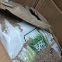 Scotts Turf Builder THICK'R LAWN Grass Seed, Fertilizer, and Soil Improver for Tall Fescue, 4,000 sq. ft., 40 lbs.