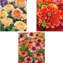 Bits and Pieces - Value Set of Three (3) - 300 Piece Jigsaw Puzzles for Adults - Large Piece 300 pc Colorful Garden Flowers Jigsaws Bundle - 18 x 24 Each
