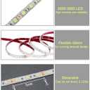 Rv Underglow Led Light Kit, Underbody Accent Lighting for Camper Motorhome Travel Trailer Concession Stands Food Trucks, Rv Led Light Strip, Rv Awning Lighs, 5m(16.4ft), Dc 12v, Green