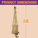 Halloween Decoration Cocoon Corpse
Halloween Decorations