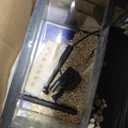 3 Gallon Fish Tank, Small Smart Aquarium with Filter, LED Light, Temperature Display for Betta, Shrimp, Goldfish, Guppies Small Fish with Fish Net