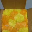 Marubhumi 5 PC - 5 feet Artificial Marigold Flower Garland  Long Strands for Diwali, Wedding & Festive Decoration  Traditional Indian Home Decor (Lemon/Mango)