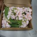 Meldel 32Pcs Ranunculus Artificial Flower, Faux Silk Mini Ranunculus Flowers for DIY Bouquet, Bulk Fake Peony Wedding Filler Flowers for Centerpieces Arrangements Bridal Shower Decorations Light Pink