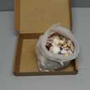 Fangoo 1.5 LB Mixed Sea Shells, 130+ PCS Beach Seashells Starfish Oyster Shells Various Sizes Ocean Seashells for Fish Tank Vase Fillers Beach Theme Party Wedding Decor DIY Crafts Home Decorations