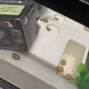 Turtle Tank Kit,PC Large Red Eared Slider Aquarium,Aquatic Baby Tortoise Habitat for Fishes and Amphibians,Include Filter*1,Filter Plates*2,Plants*2,Lamp*1,Bulb*1,Stone*1,Basking Platform*1 (L(15.75*8.07*8.85inch))