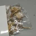 Nuanchu 12 Pcs Mini Dried Flower Bouquet 6" Natural Small Dried Flower with Stem for Birthday DIY Crafts Scrapbook Vase Boho Party Plates Cake Bridesmaid Gifts Card Envelope Decor (Boho)