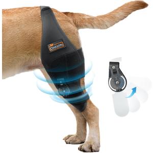 CHAMIN/RISURRY Dog Knee Brace with Adjustable Hinge Stabilizer, Dog ACL Knee Brace Support Osteoarthritis, Made with Premium Quality Neoprene(Right Leg,XL)