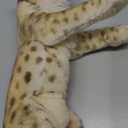 RoundFunny 15 Inch Stuffed Animal Lion Easter Gifts Lions Plush Realistic Wild Jungle Animals Lions Toys for Girls Boys Birthday (Lion)