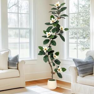 Rubber Tree 6 ft Artificial Tree in White Planter Pot, Faux Plants Indoor Faux Floor Plant Artificial Plants with 7 Pcs Magnolia Flowers for Home Decor, Artificial Fiddle Leaf Fig Tree for Office (Green)